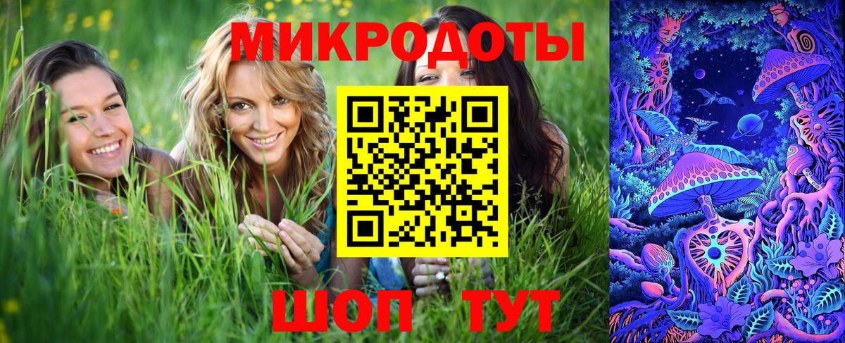 Баксан  Псилоцибиновые грибы MAGIC MUSHROOMS  Вход с VPN 
