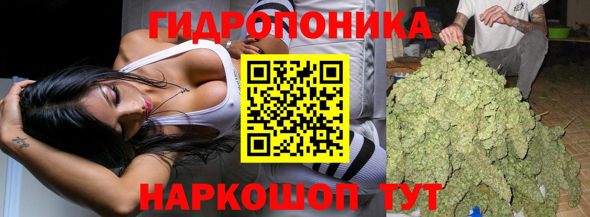 Бошки марихуана планчик  Бошки Шишки индика  Вход с VPN  Каннабис VHQ  Баксан 
